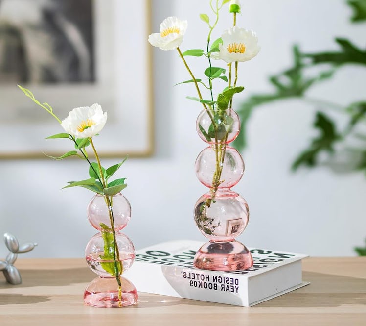 Hewory Glass Bubble Vases (2 Pieces)