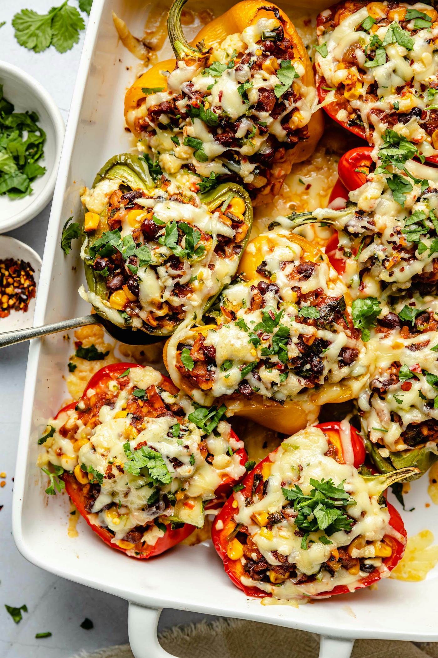 Vegetarian stuffed peppers in a baking dish, in a story about affordable bean recipes for dinner.