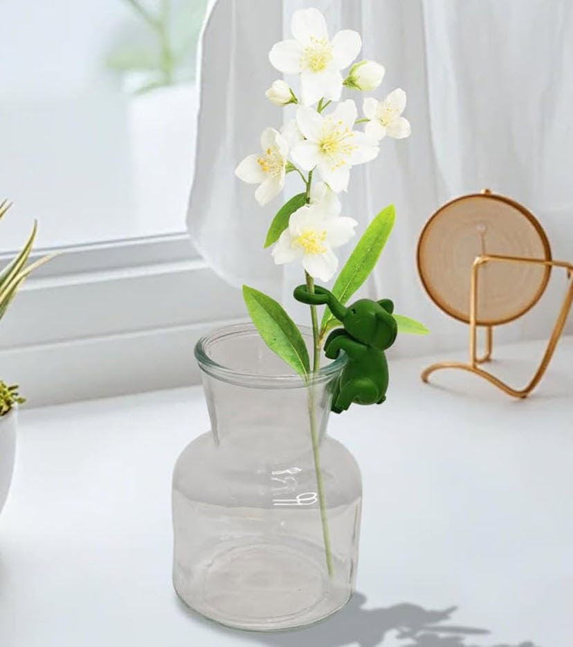 IVTLIF Plant Propagation Buddy (3-Pack)