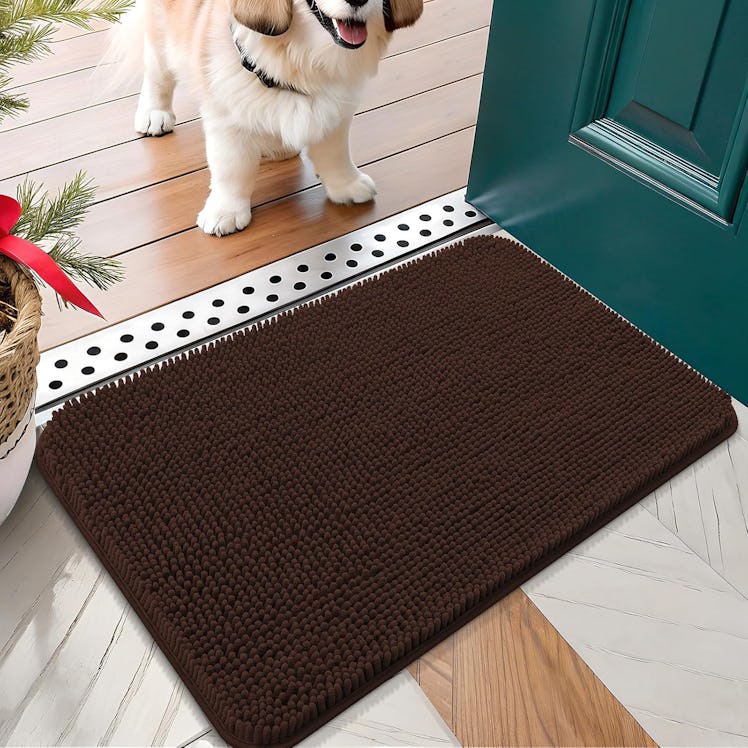OLANLY Dog Door Mat