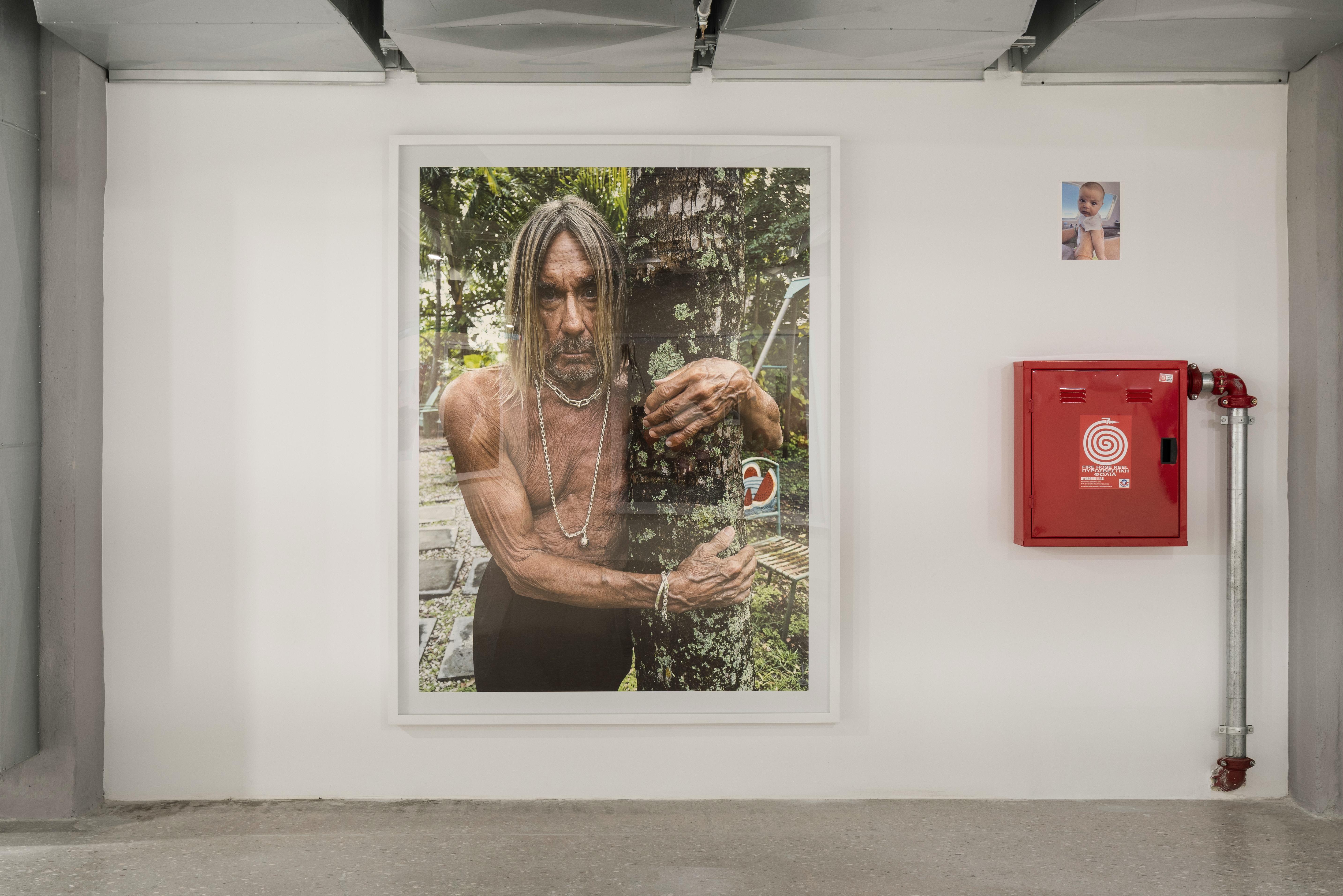 A gallery space with a large photo on the wall