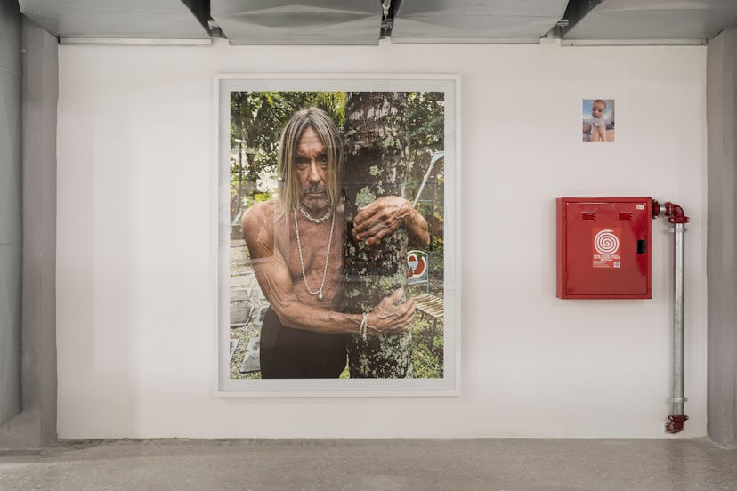 A gallery space with a large photo on the wall