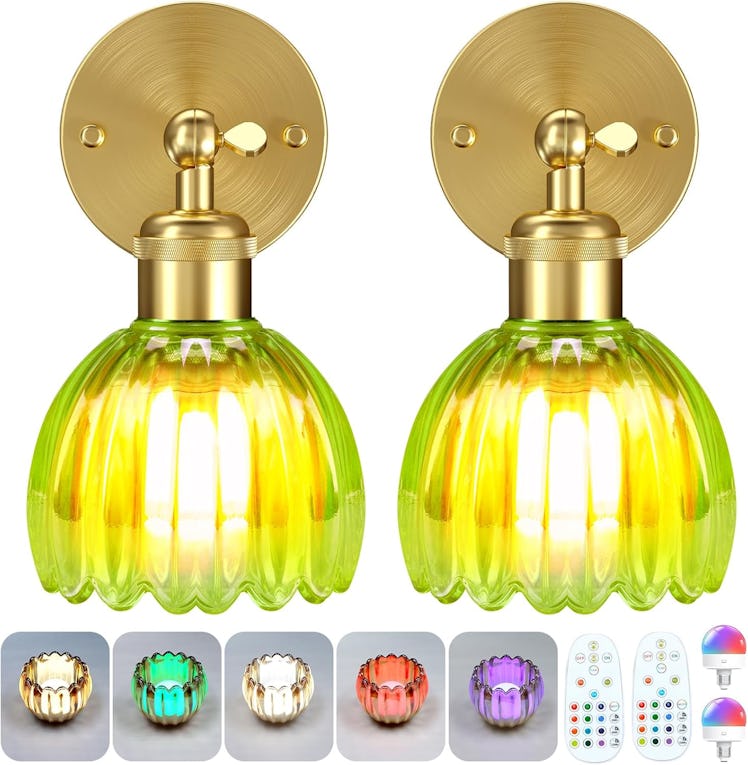 Senluyi Dimmable Wall Sconce (Set of 2)