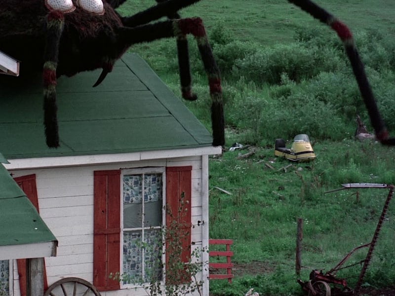 The Giant Spider Invasion 1975