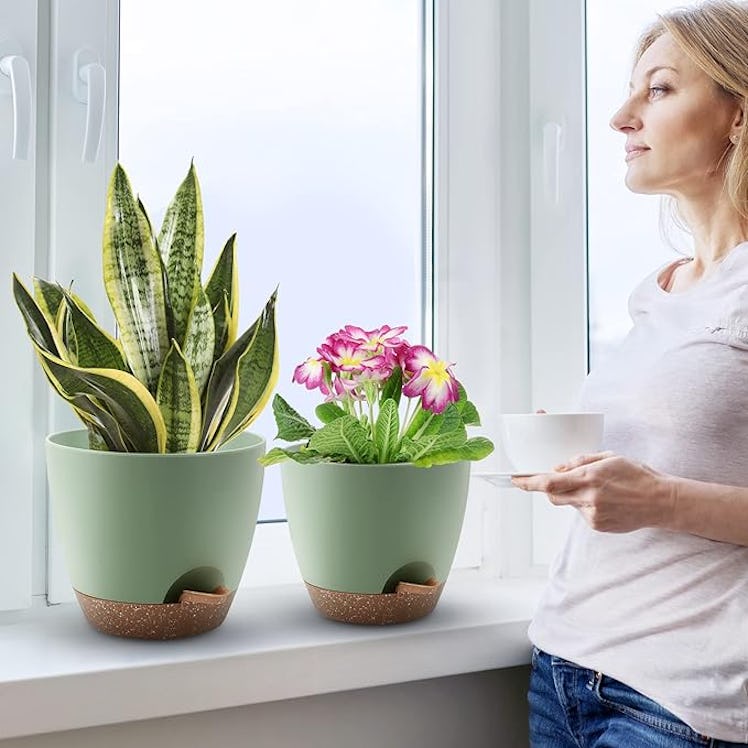 QRRICA Self-Watering Pots (5-Pack)