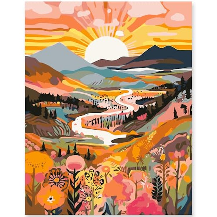 EFOTIML Paint by Numbers Kit