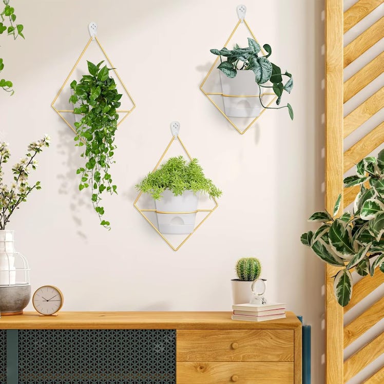 Koalaime Geometric Wall Planters (Set of 3)