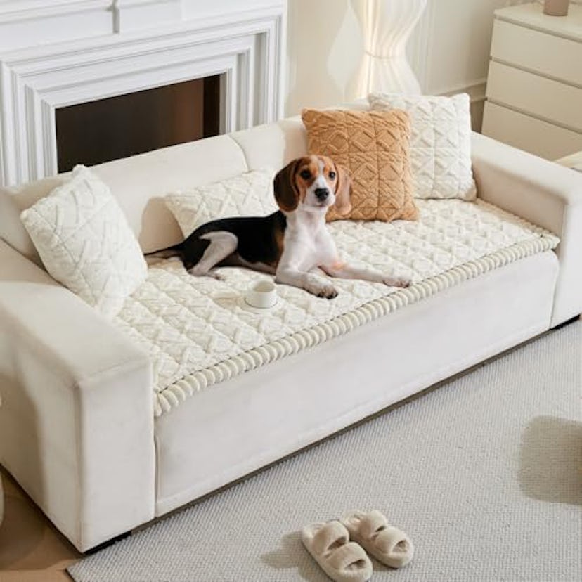 Tiwwie Couch Cover for Pets