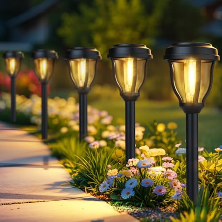 DERAYSION Solar Pathway Lights (12-Pack)