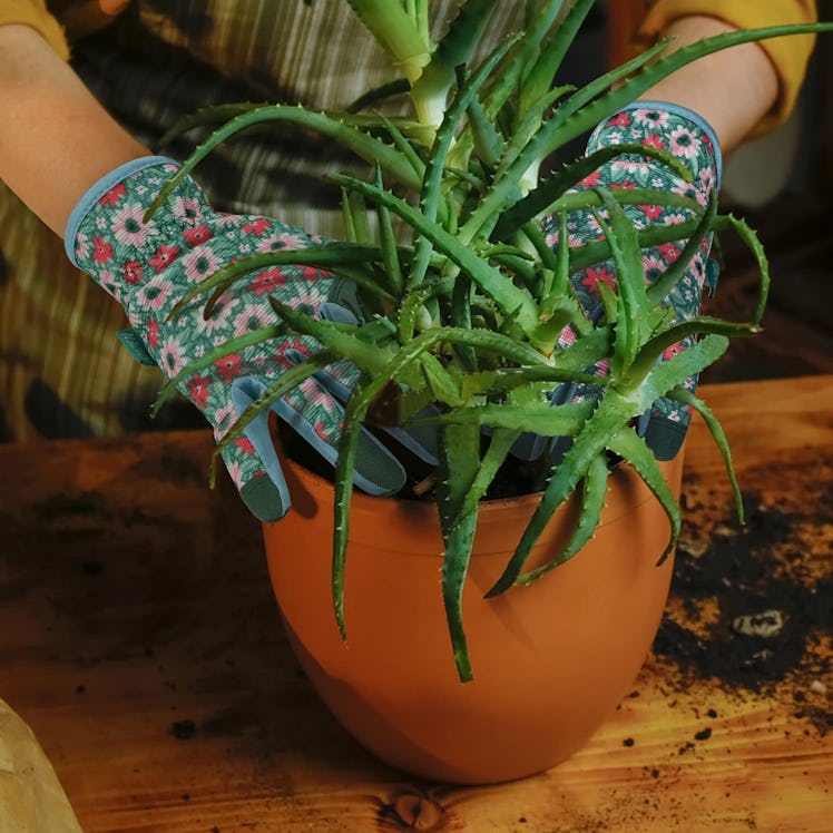 Oizen Gardening Gloves
