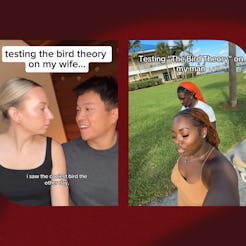 What is the viral "bird theory" relationship test on TikTok?