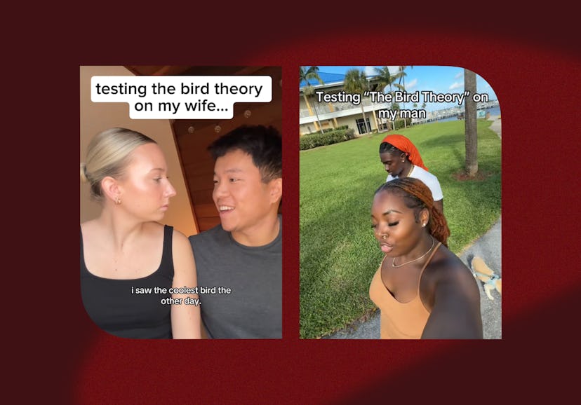 What is the viral "bird theory" relationship test on TikTok?