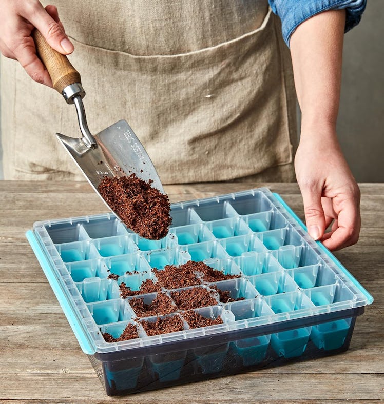 Burpee SuperSeed Seed Starting Tray