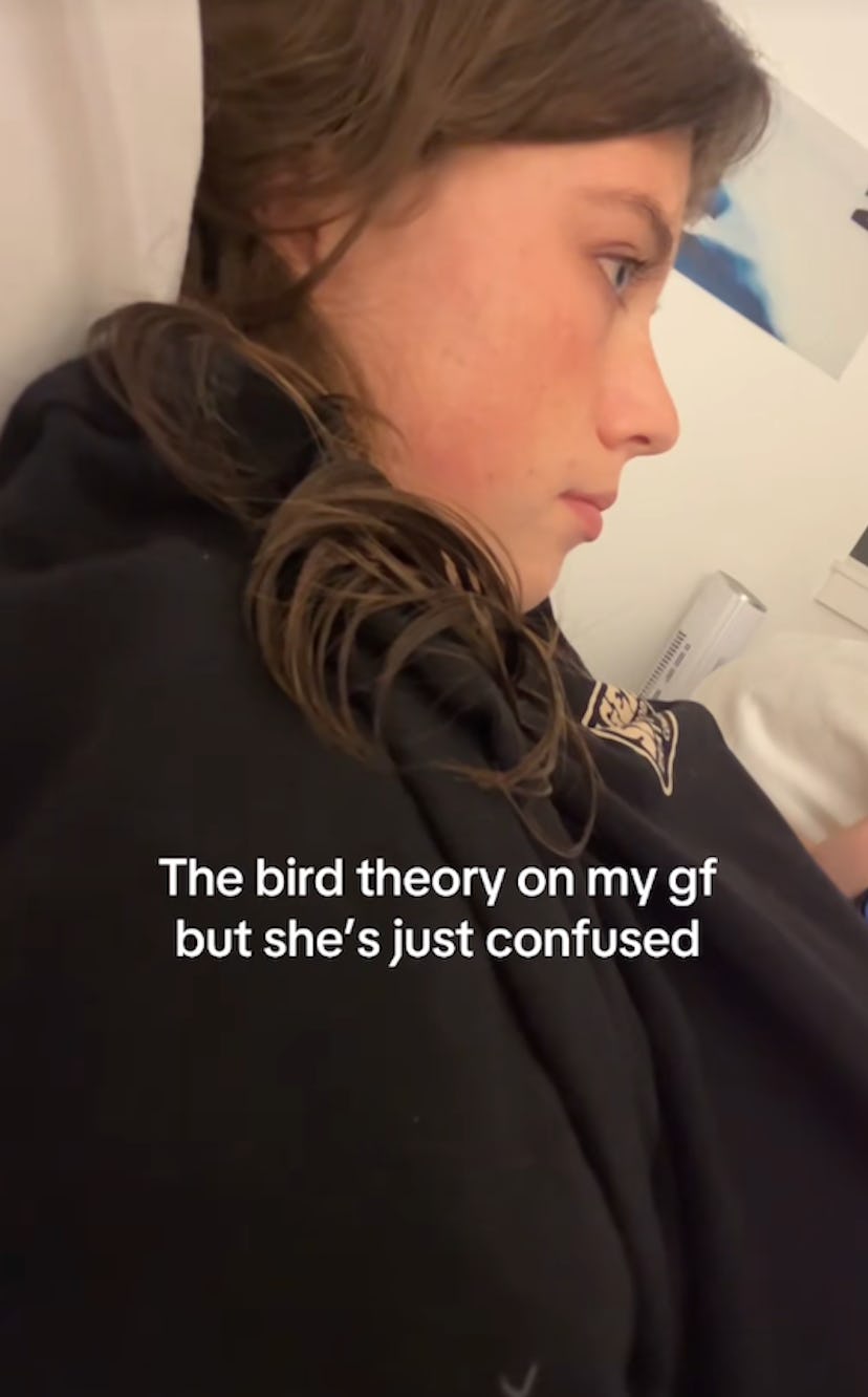 Bird theory.