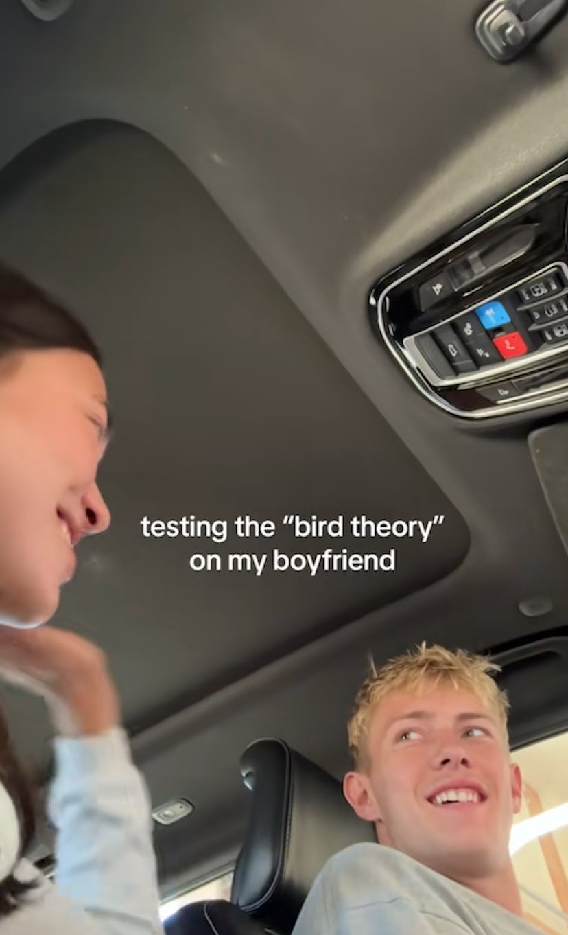 Bird theory.