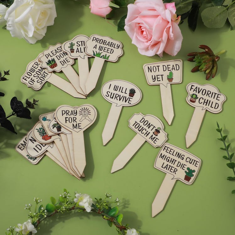 PEUTIER Garden Plant Markers (15 Pieces)
