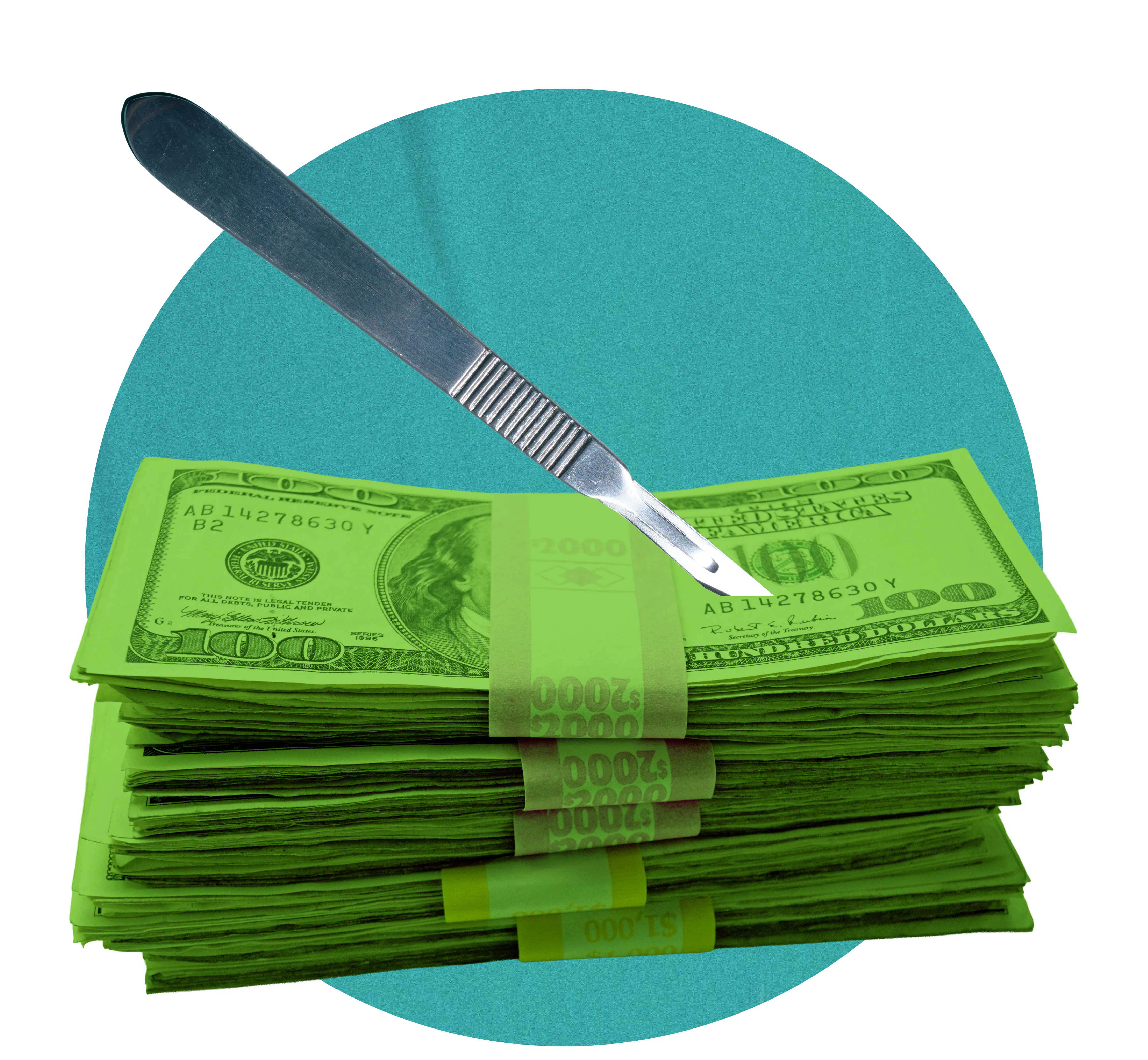 Will Plastic Surgery Make You Richer? The Science of Attractiveness