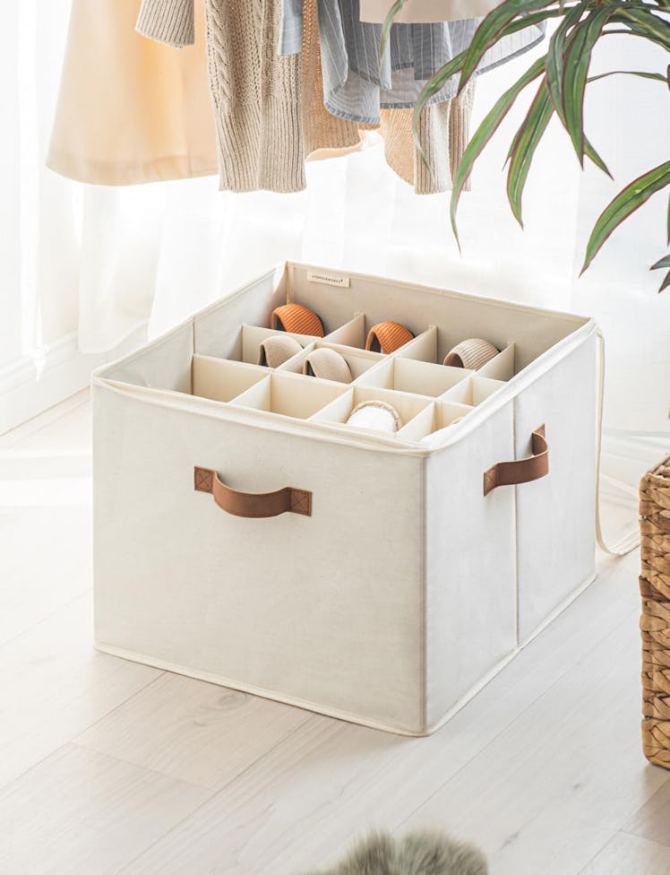 StorageWorks Shoe Organizer