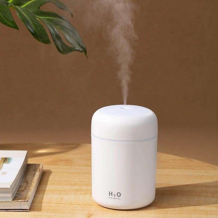 Saunana Mini Humidifier 