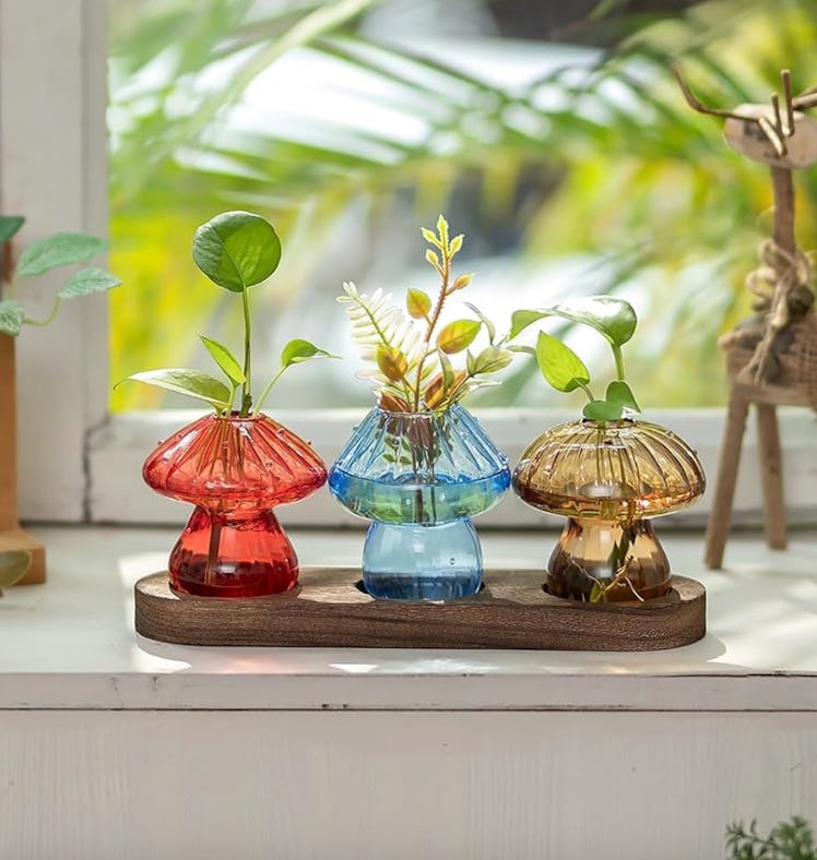 Hewory Glass Propagation Station (4 Pieces)