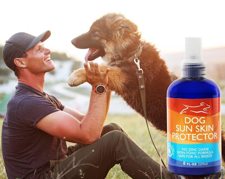 EBPP Dog Sunscreen