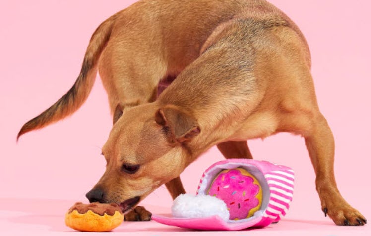 Barkbox "Barker's Dozen" Dog Toys