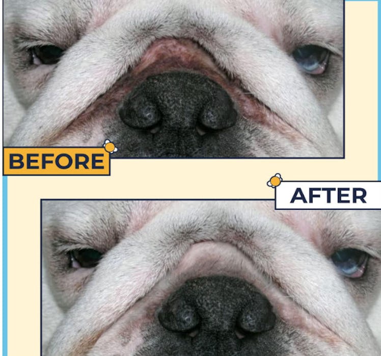 Two Pets & A Half Wrinkle Pads & Wrinkle Paste
