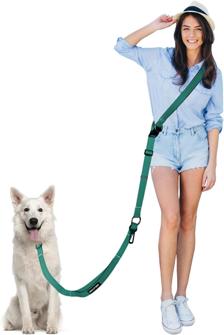 WANFIRE Hands Free Dog Leash