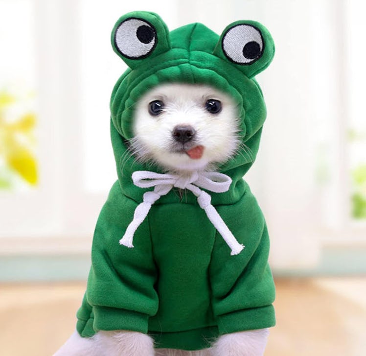 Maruomiki Warm Dog Hoodie