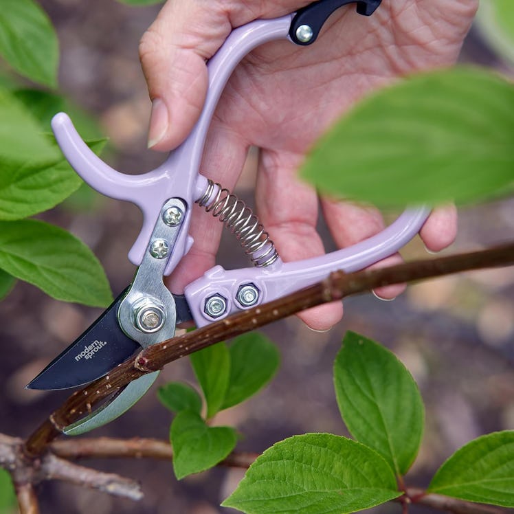 Modern Sprout Hand Pruners