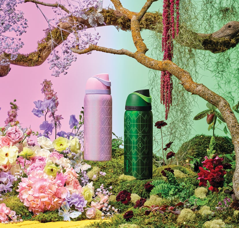 Owala has a limited-edition 'Wicked' bottle collection that fans are loving on TikTok.