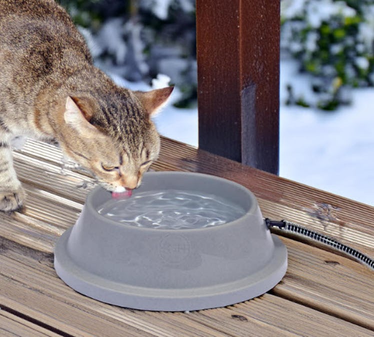 K&H Pet Products Thermal Heated Water Bowl