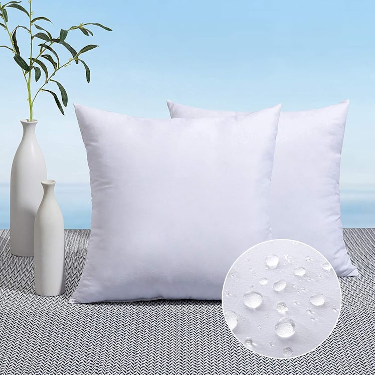 MIULEE Outdoor Pillow Inserts (2-Pack)