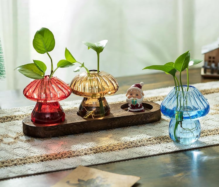 Hewory Glass Propagation Station 