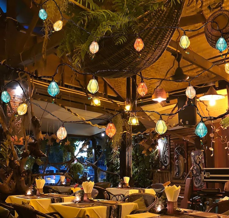 Vigdur Outdoor String Lights 