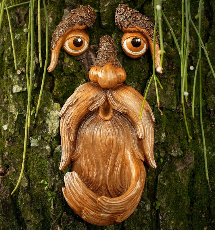 Tree Poetry Tree Face