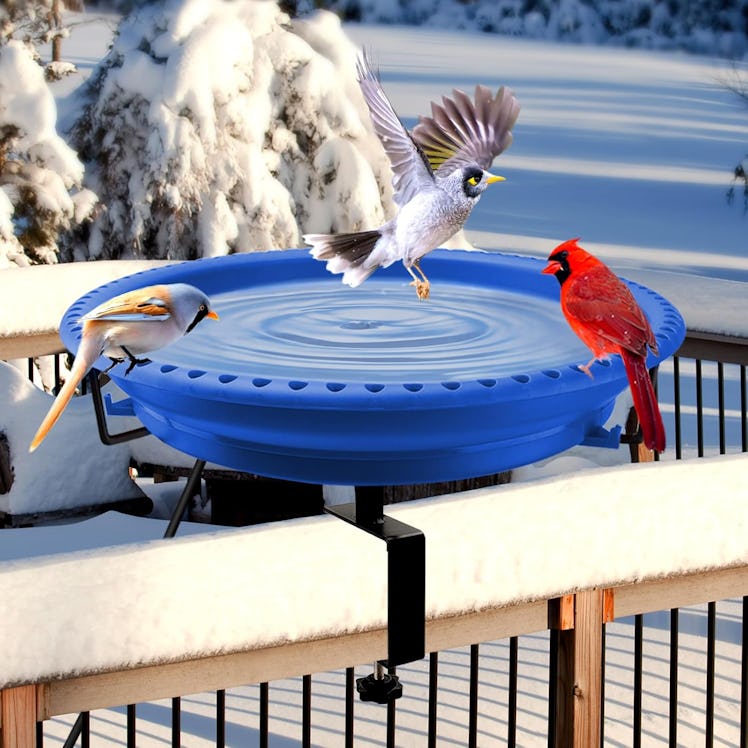 Daoeny Heated Bird Bath