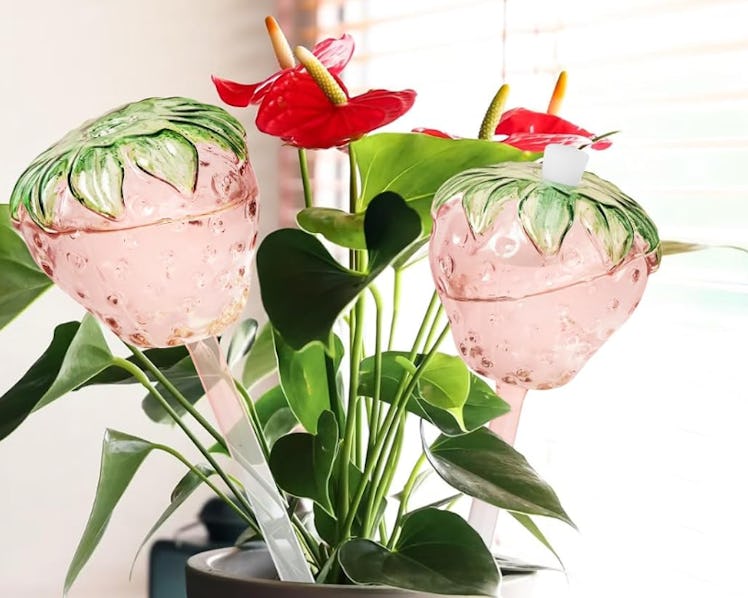 Yurucenus Strawberry Watering Stakes (2-Pack)