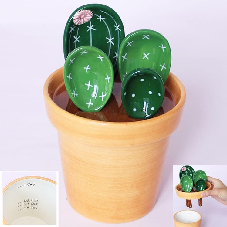 XDONEF Cactus Measuring Spoons Set