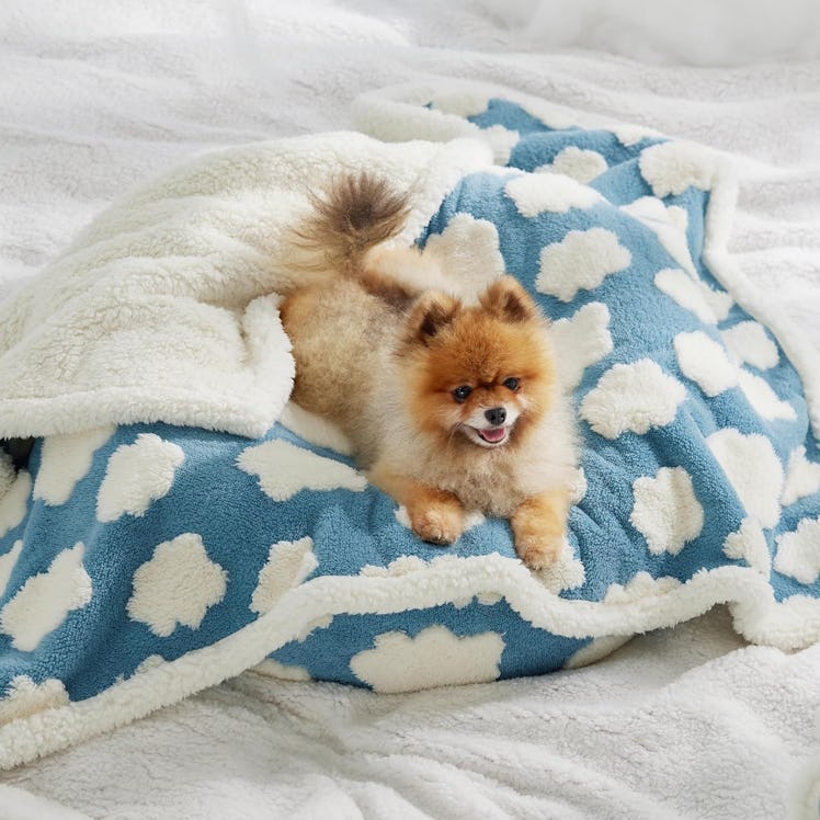Lesure Waterproof Dog Blanket