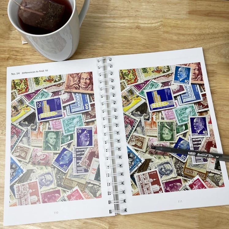 Cottage Door Press Picture Puzzles: Spot the Difference