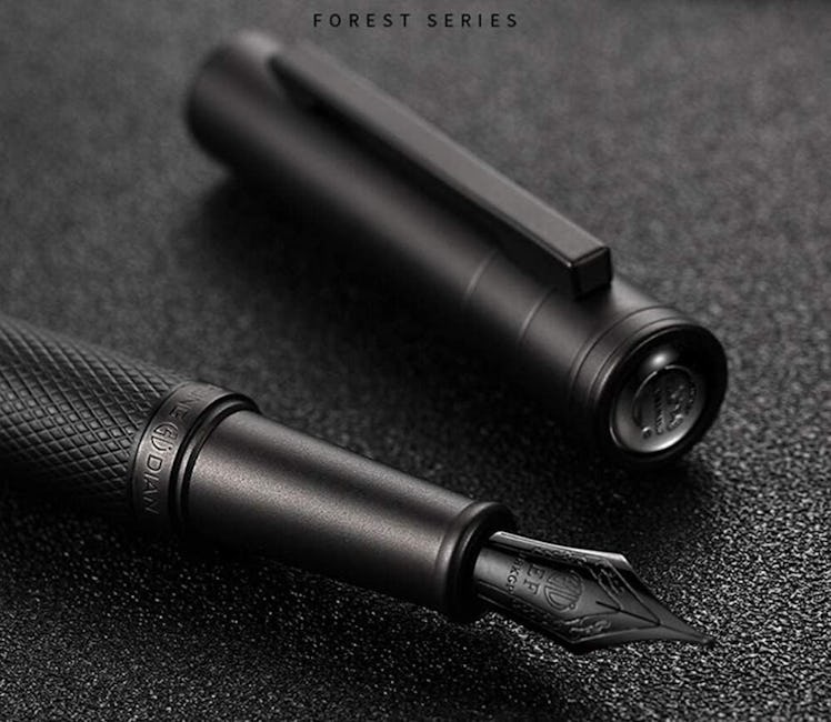 Asvine Fountain Pen 
