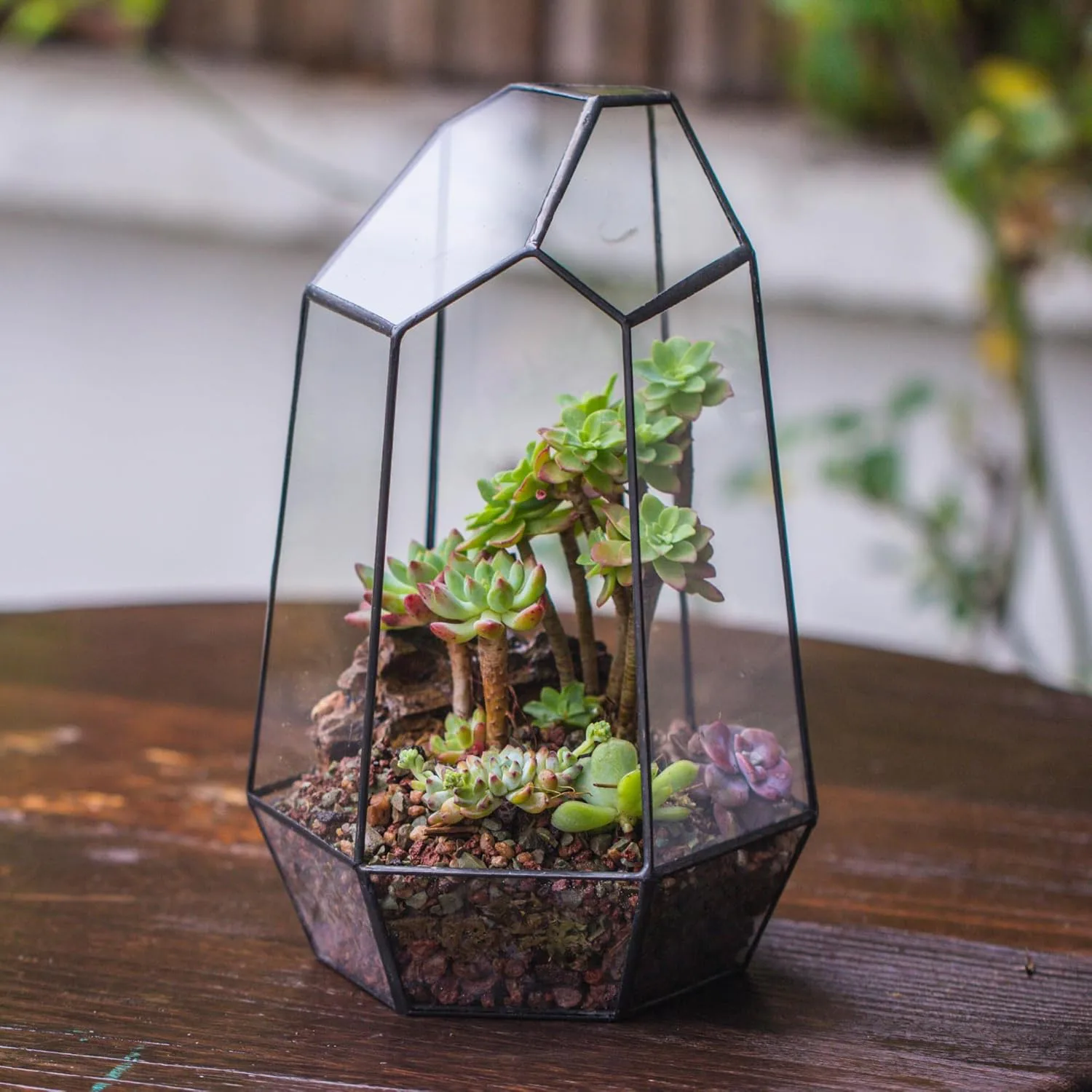 NCYP Geometric Glass Terrarium Planter 