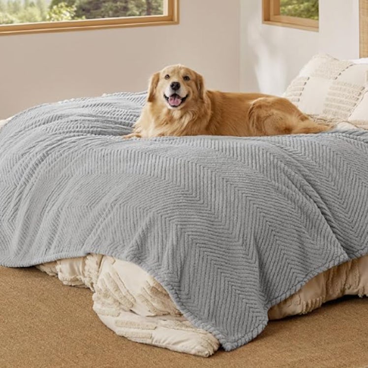Bedsure Dog Blanket 