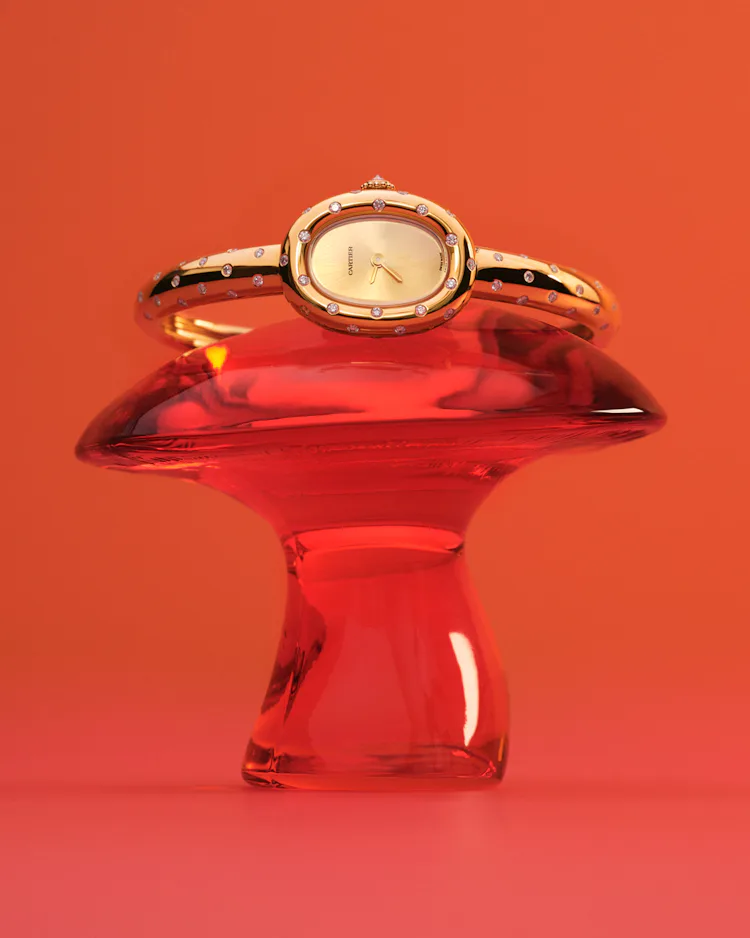 Cartier watch on a red mushroom