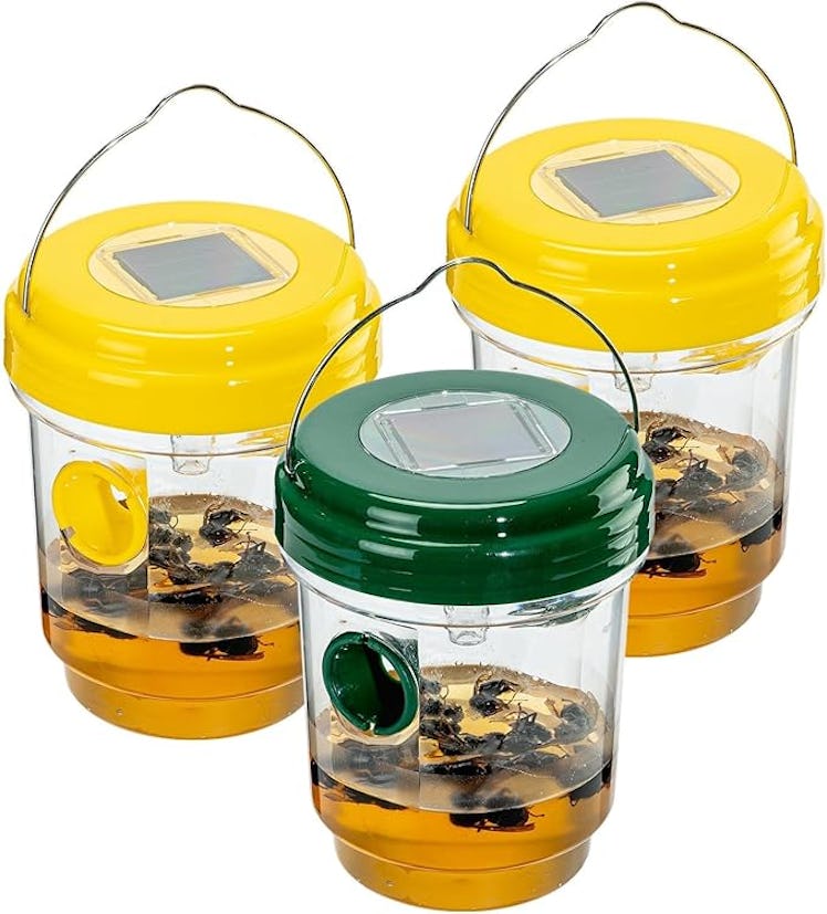Pirosim Wasp Traps (3-Pack)