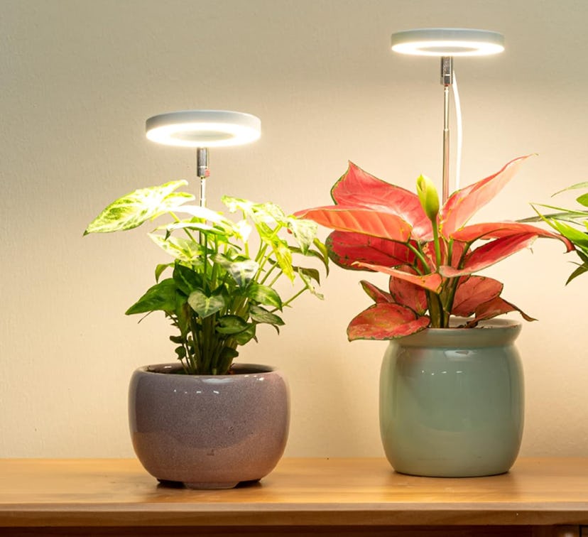 LORDEM Plant Growing Light 