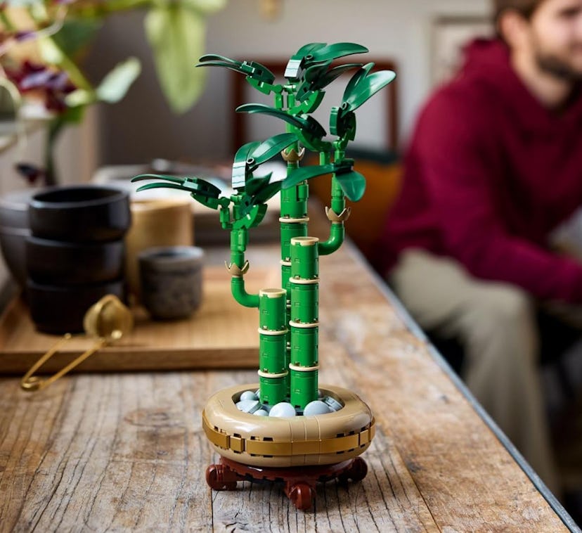 LEGO Botanicals Bamboo Set