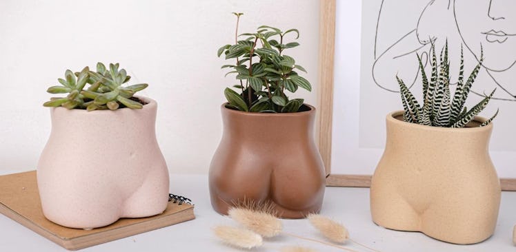 BASE ROOTS Ceramic Planter Vase