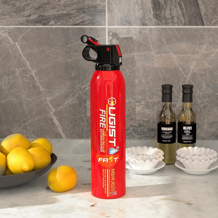 Ougist Water-Based Fire Extinguisher (2-Pack)